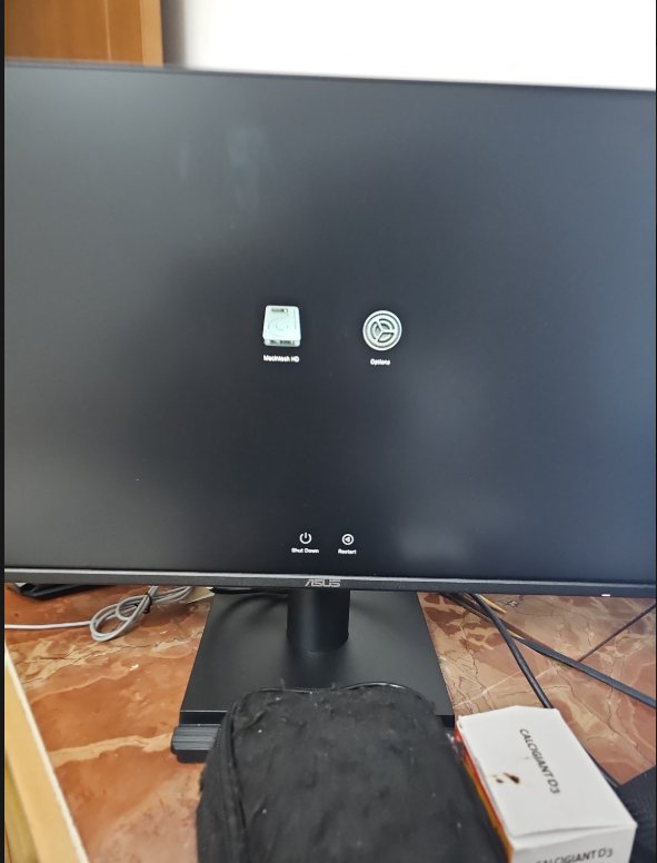 Mac Mini Startup Options screen showing Macintosh HD and Options icons with Shut Down and Restart buttons