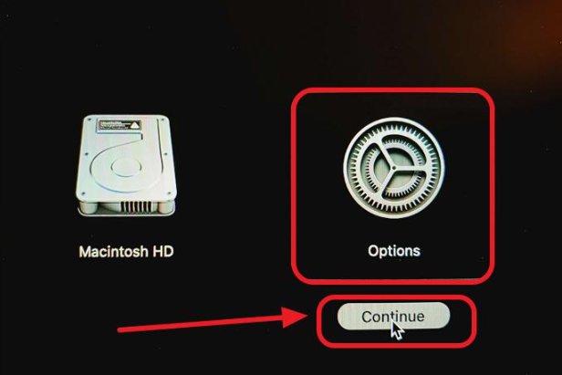 Annotated Startup Options showing Options icon circled in red with arrow pointing to Continue button