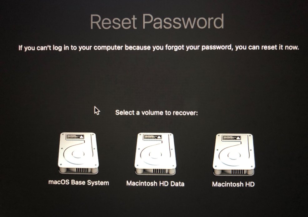 Reset Password volume selection screen showing macOS Base System and Macintosh HD Data and Macintosh HD