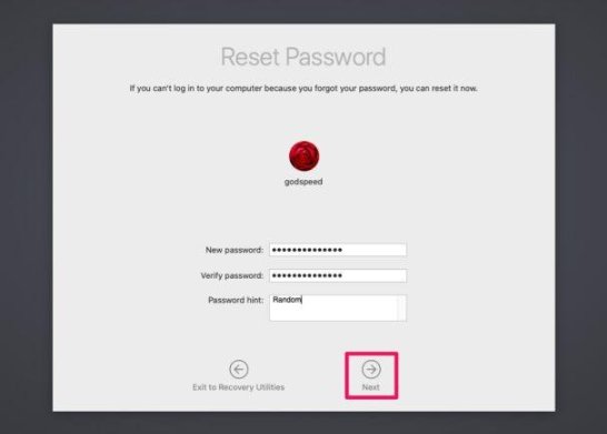 Alternative Reset Password screen with lighter background showing password fields for user godspeed